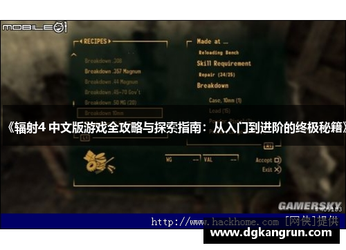 《辐射4 中文版游戏全攻略与探索指南：从入门到进阶的终极秘籍》