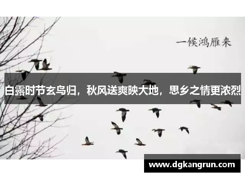 白露时节玄鸟归，秋风送爽映大地，思乡之情更浓烈